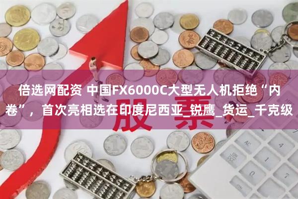 倍选网配资 中国FX6000C大型无人机拒绝“内卷”，首次亮相选在印度尼西亚_锐鹰_货运_千克级