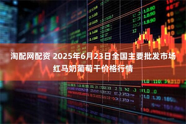 淘配网配资 2025年6月23日全国主要批发市场红马奶葡萄干价格行情