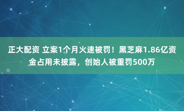 正大配资 立案1个月火速被罚！黑芝麻1.86亿资金占用未披露，创始人被重罚500万
